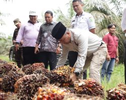 Pj Bupati Muba H Apriyadi Raih Penghargaan Inovasi Permodelan Pendampingan Sawit Rakyat