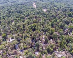 Ratusan Ribu Warga Muba Gantungkan Hidup dari Tambang Minyak Tradisional