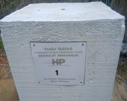 PT SNS Diduga Garap Hutan Kawasan, Begini Keterangan Warga