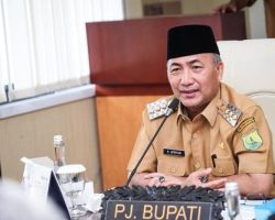 Potensi Dukungan Cukup Besar, IWO Muba Sarankan Apriyadi Untuk Maju Sebagai Calon Bupati