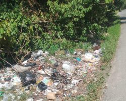 Belum Adanya TPA Di Desa Pandan Dulang, Ini Harapan Kades Pandan Dulang Pada Instansi Terkait