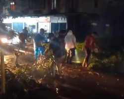 Respons Cepat BPBD dan PLN Muba Atasi Pohon Tumbang dan Gangguan Listrik di Talang Jawe