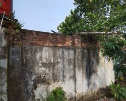 Kejari Muba Diminta Panggil Kades Tebing Bulang Terkait Adanya Dugaan Memperjual-belikan Aset Negara