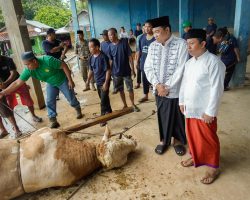 WARGA MUBA SEMBELIH SAPI PRESIDEN: Momen Berkah Idul Adha yang Penuh Makna