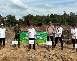 Tanam Jagung Serentak Kuartal – III, Manfaatkan Lahan Perhutanan Sosial