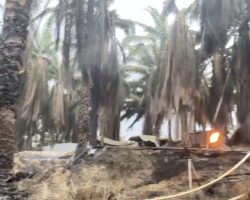 Terkesan Hanya Diam, Penegakan Hukum Polsek Keluang Terkait Kebakaran Sumur Minyak Mandul