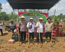 Penguatan Ketahanan Pangan Melalui Penanaman Jagung Digelar di Desa Air Putih Ulu