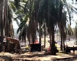 Api Kembali Lahap Sumur Minyak di Keluang, Kapolsek Keluang Bungkam dan Kapolda Sumsel Tak Berdaya