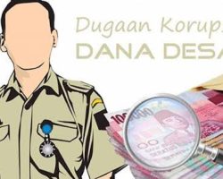 Fenomena Praktik Korupsi Dana Desa di Muba Mencuat, PJS Muba Minta APH Selidiki Desa Pagarkaye dan Sukalali