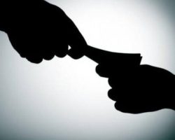 Terlibat Perusakan Lingkungan dan Pungli, APH Didesak Periksa Kades Macang Sakti