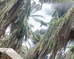 Tragedi Kebakaran Sumur Minyak Kembali Terjadi, Publik Tantang Kapolda Sumsel Copot Kapolres Muba