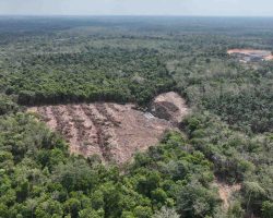 “R” Oknum Mantan Kades Diduga Dalangi Illegal Minning di Desa Suka Damai