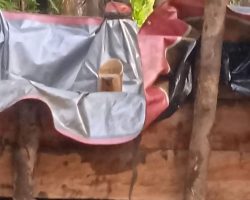 Diduga Lahan PT BSS Beralih Fungsi jadi Pengeboran Minyak, Disinyalir Kuat Diback Up Oknum “Y”