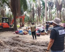 Operasi Yustisi di HGU PT Hindoli, Polsek Keluang dan Tim Gabungan Berhasil Bongkar 27 Sumur Minyak Ilegal dan 51 Pondok