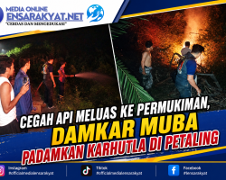 Cegah Api Meluas ke Permukiman, Damkar Muba Padamkan Karhutla di Petaling