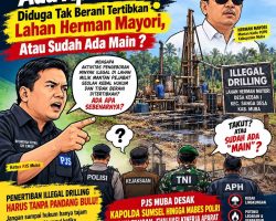 Ada Apa APH Diduga Tak Berani Tertibkan Lahan Herman Mayori, Atau Sudah Ada Main ?