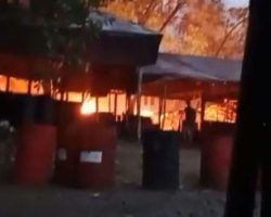 Kebakaran Penyulingan Minyak Ilegal Kembali Terjadi di Simpang Bayat Bayung Lencir